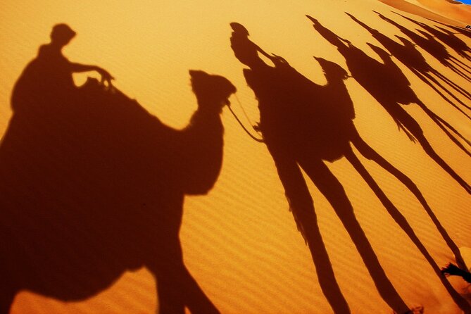 Desert Trip:Fès-Merzouga(1 Night)-Ouarzazat(1 Night)-Marrakech - Who should book this three-day route?