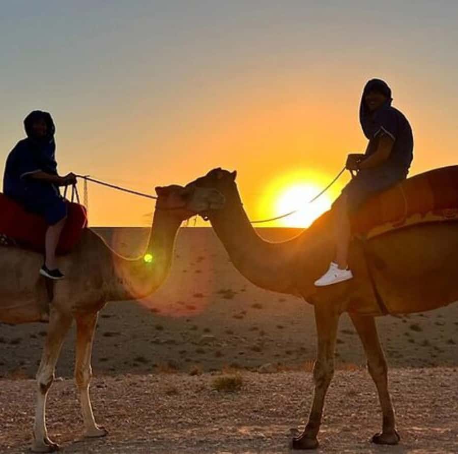 DINNER IN AGAFAY DESERT UNDER THE STARS WITH SHOW AND CAMELS - Dinner in a Berber-style desert tent