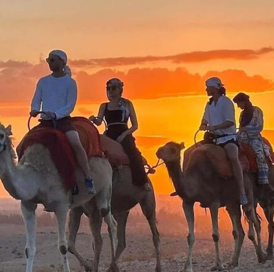 DINNER IN AGAFAY DESERT UNDER THE STARS WITH SHOW AND CAMELS - The guides can shape the whole evening