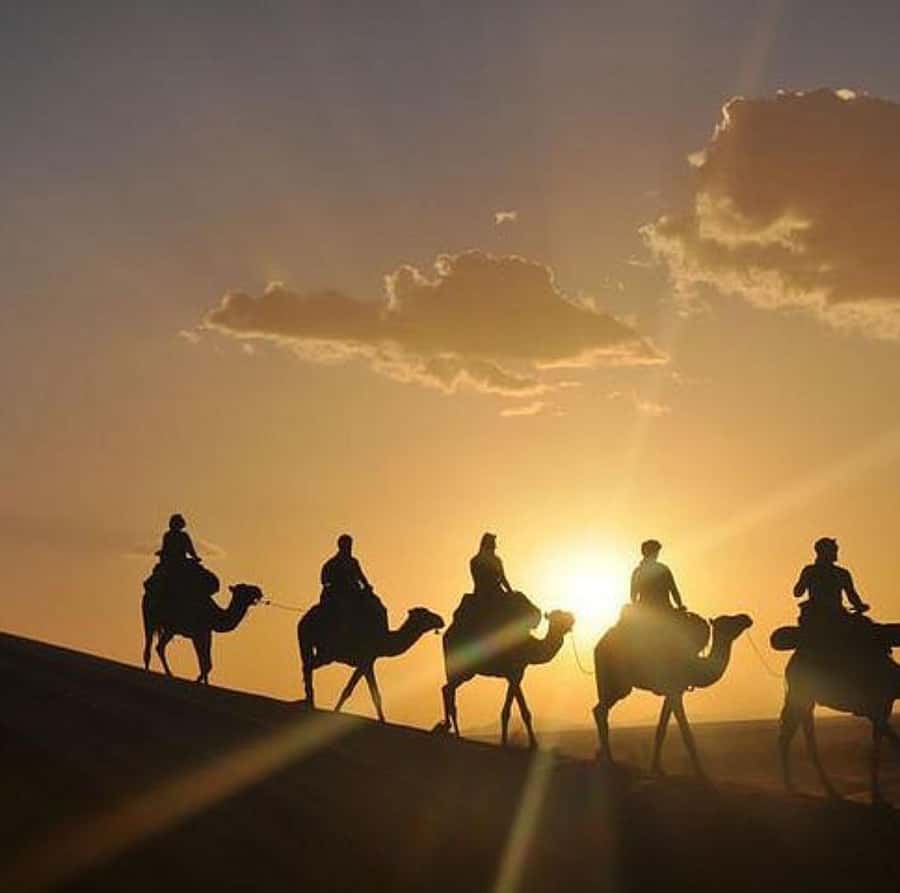 DINNER IN AGAFAY DESERT UNDER THE STARS WITH SHOW AND CAMELS - Small details that make the night easier