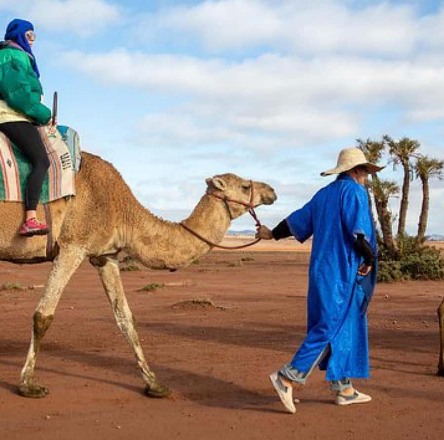 Dinner show in agafay Desert 1h quad bike & 20 min camels - Should you book this Agafay evening?