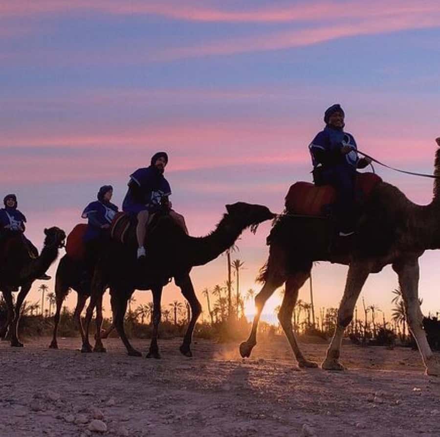 Dinner show in agafay Desert 1h quad bike & 20 min camels - A 70-minute quad ride across rocky desert