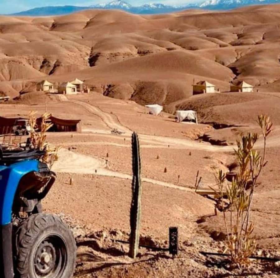 Dinner show in agafay Desert 1h quad bike & 20 min camels - Sunset beside the desert pool