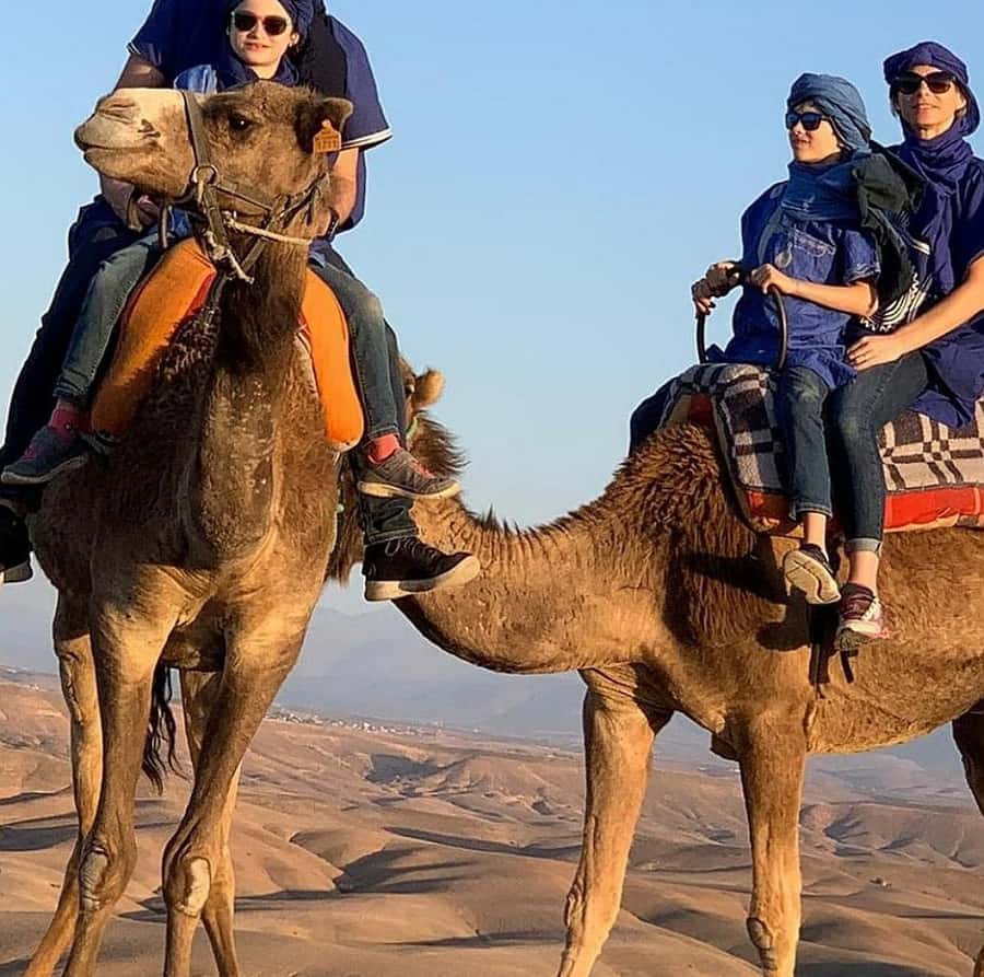 Dinner show in agafay Desert 1h quad bike & 20 min camels - Berber music, dancing and the fire show