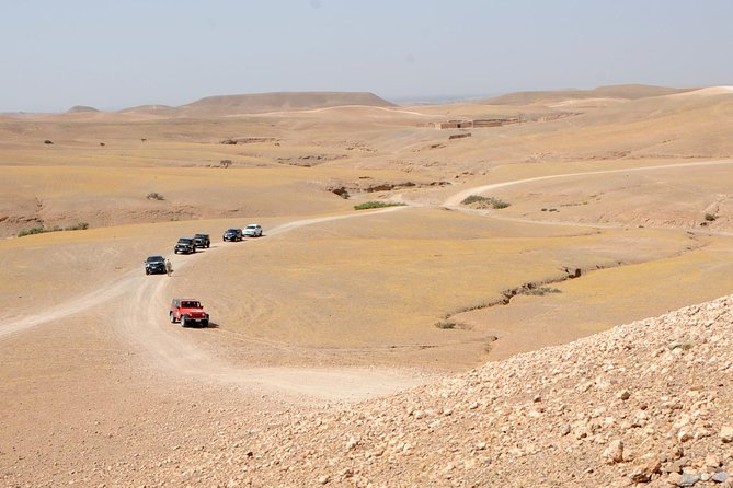 Dinner Show in Agafay Desert with Quad Bike & Camels - Guides, drivers, and the human side of the tour