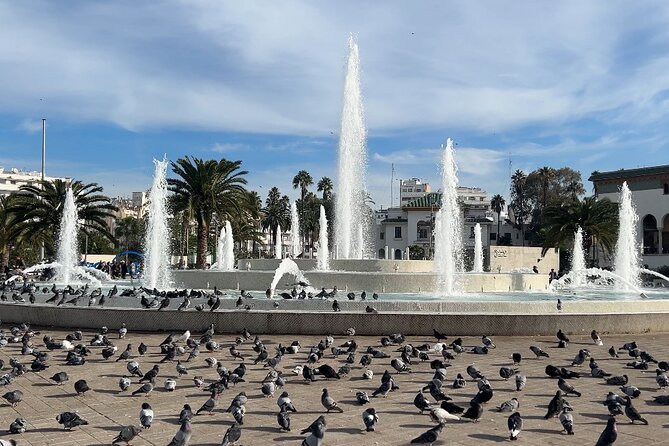 Discover Casablanca: Mosque & City Tour - Marché Central brings the city down to street level