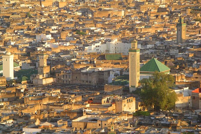 Discover Fes: Culture, handicraft & Hidden Treasures - Chouara Tannery and Fez leatherwork