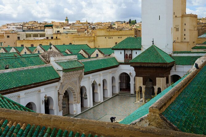 Discover Fez and it’s hidden secrets with a local - Chouara Tannery and Fez’s most famous working view