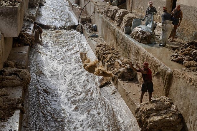 Discover Fez's and its hidden secrets - Chouara Tannery adds Fez’s working side