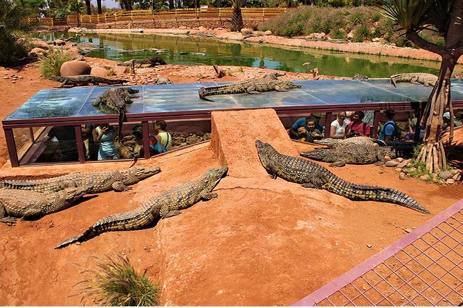 Effortless Agadir Crocoparc Ticket and Transfer Service - Two playgrounds and a dinosaur section for children