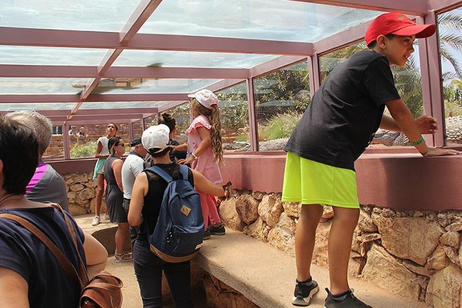 Effortless Agadir Crocoparc Ticket and Transfer Service - How the $28.31 price measures up