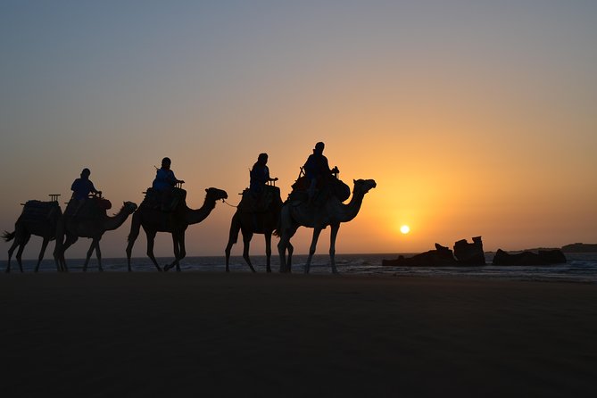 Essaouira: 1/2 Day Camel ride with meal. - Riding from Essaouira toward Cap Sim