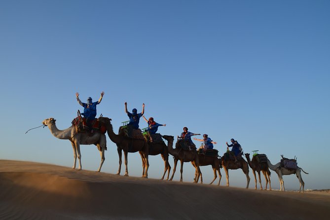 Essaouira: 1/2 Day Camel ride with meal. - What the dromedary ride feels like