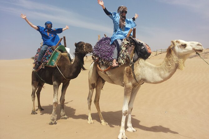 Essaouira 1 hour discovery ride on the back of a camel - Starting at Bab Sbaa in Essaouira