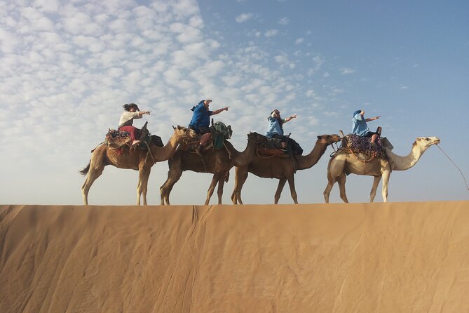 Essaouira 1 hour discovery ride on the back of a camel - Dar Sultan Ruins and the Portuguese Borj
