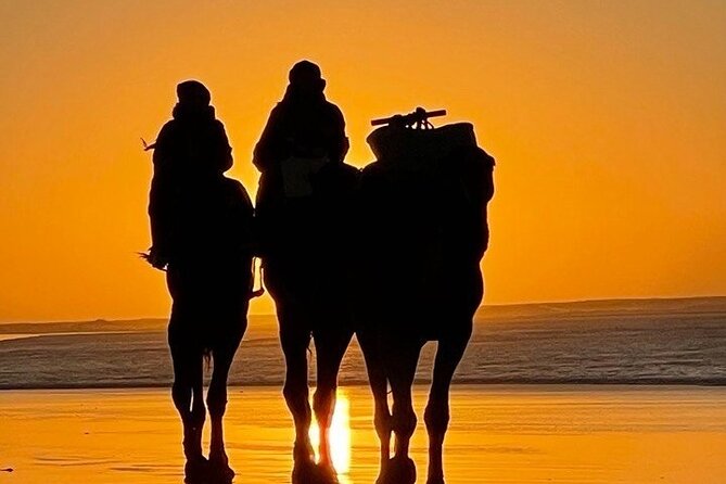 Essaouira 1 hour discovery ride on the back of a camel - What Mostafa adds to the outing
