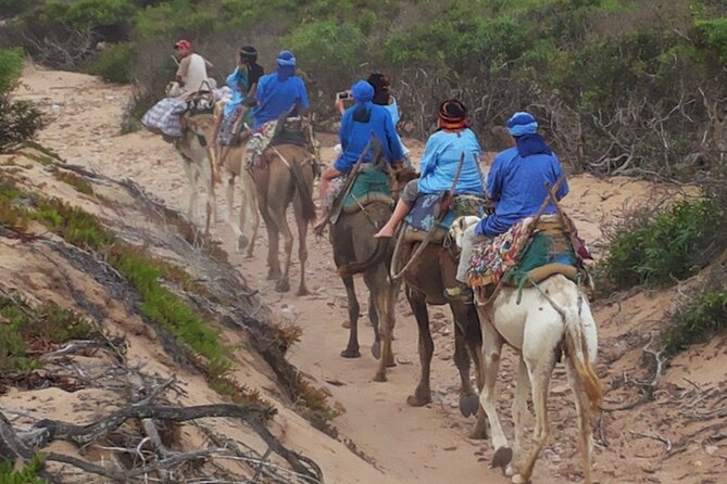 Essaouira 1 hour discovery ride on the back of a camel - Wild beaches and the open coast