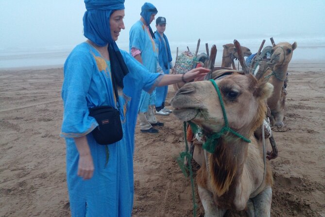 Essaouira: 1 Hour Dromedary + 2 Hours Quad - A private outing is valuable for mixed-ability groups