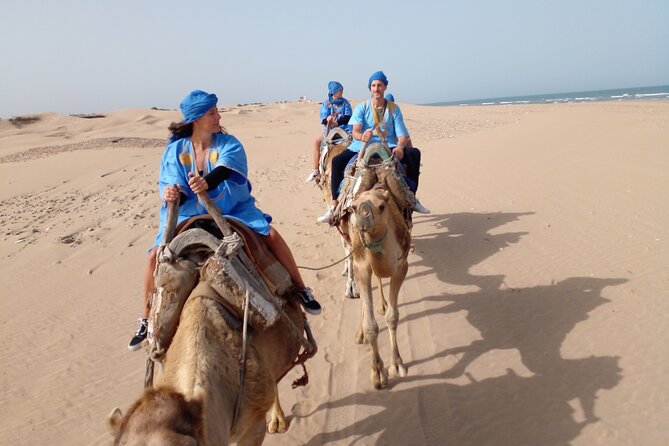 Essaouira: 1 Hour Dromedary + 2 Hours Quad - Is $79.10 a fair price?