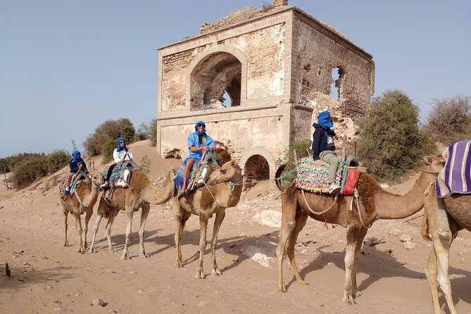 Essaouira: 1 Hour Dromedary + 2 Hours Quad - Who will enjoy this Essaouira combination?