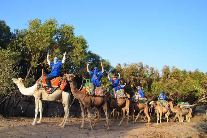 Essaouira 2-Hour Camel Adventure Ride - Starting at Bab Marrakech in Essaouira