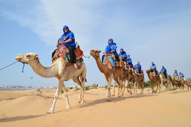Essaouira 2-Hour Camel Adventure Ride - The Portuguese borj and Dar Soltane ruins