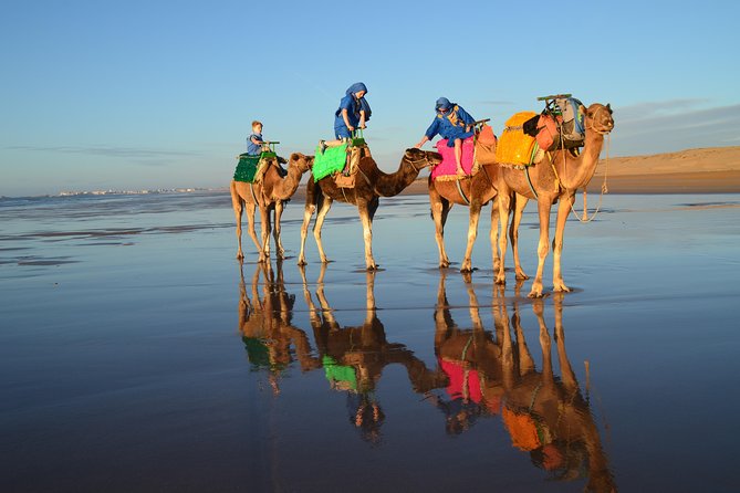 Essaouira 2-Hour Camel Adventure Ride - Why two hours is a sensible length