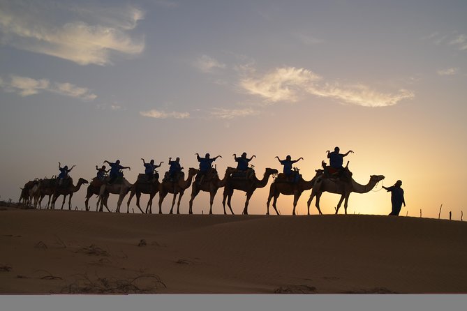 Essaouira 2-Hour Camel Adventure Ride - Sunset, photographs, and the best time to ride