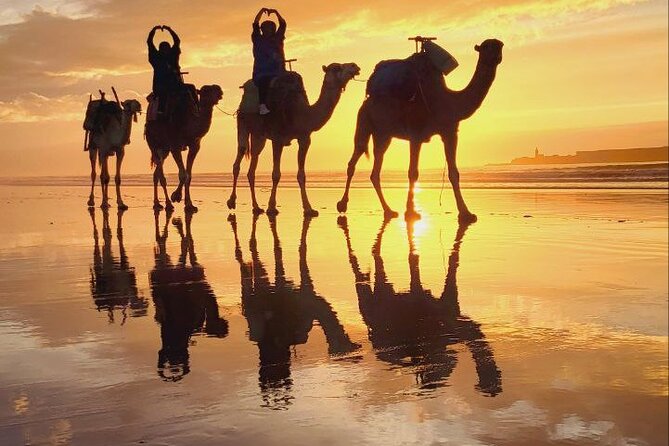 Essaouira 2-Hour Camel Adventure Ride - Who will enjoy this ride most