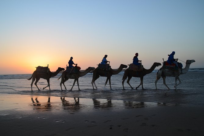 Essaouira 2-Hour Camel Adventure Ride - Following Essaouira’s first beach