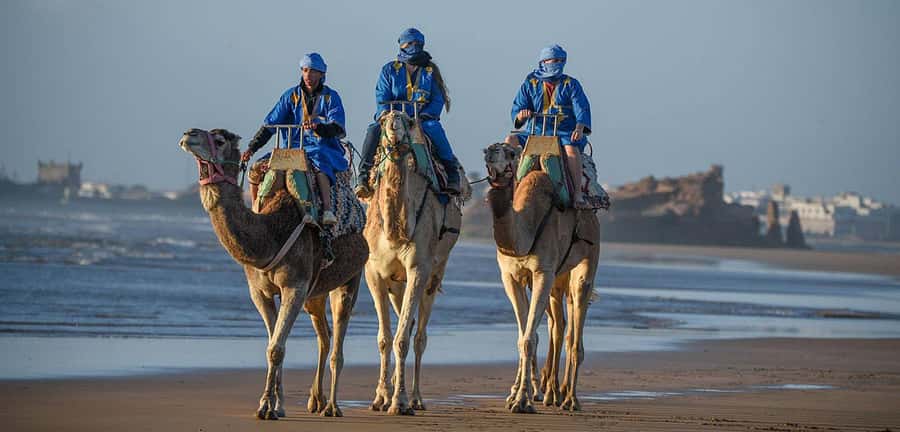 Essaouira: 2-Hour Camel Ride - Key points at a glance