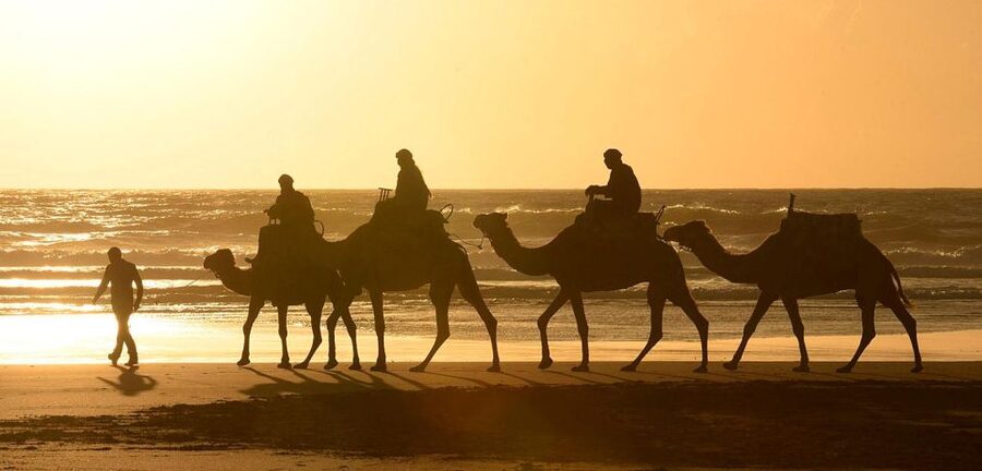 Essaouira: 2-Hour Camel Ride - Should you book it?