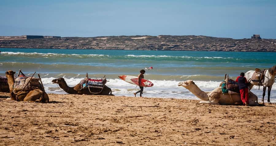 Essaouira: 2-Hour Camel Ride - Riding from Essaouira’s beach into the dunes