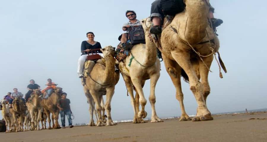 Essaouira: 2-Hour Camel Ride - The guides and the camels matter