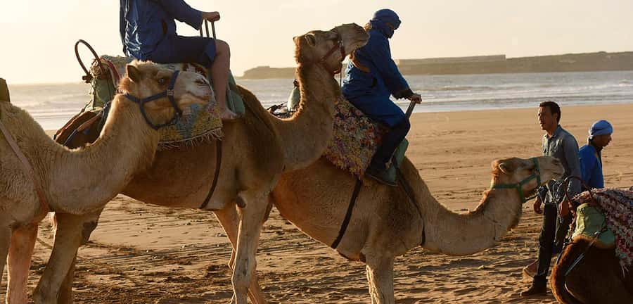 Essaouira: 2-Hour Camel Ride - A closer look at the route