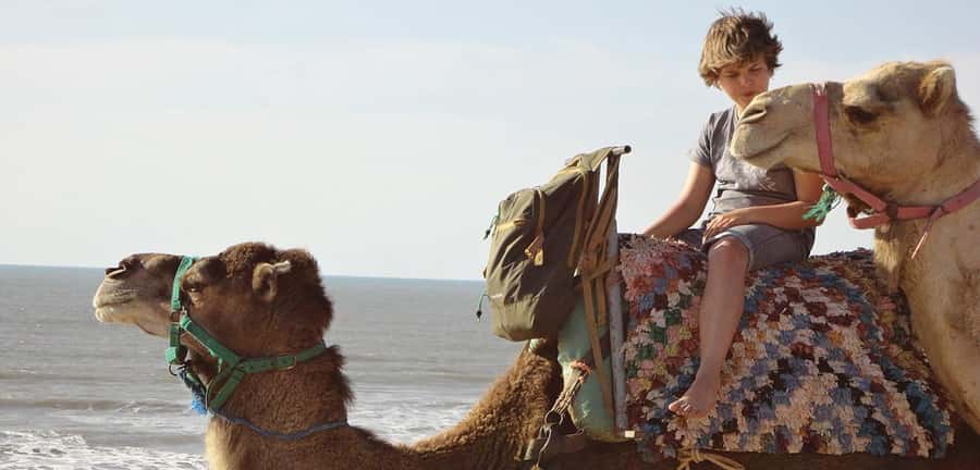 Essaouira: 2-Hour Camel Ride - Pickup, timing, and the one weak spot