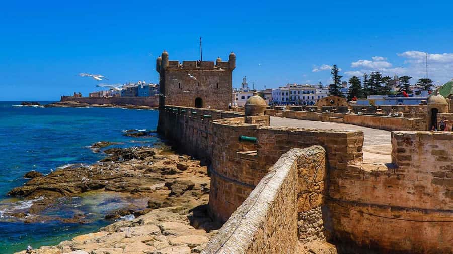 Essaouira: 2-Hour Camel Ride - Practical ways to make the ride better