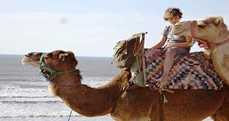 Essaouira: 2-Hour Camel Ride - What the camel ride feels like in practice