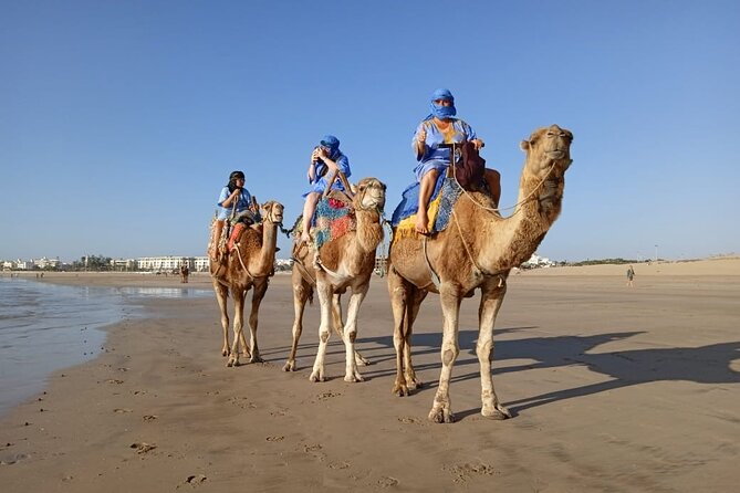 Essaouira: 2H camel/pick up and drop off including - A quiet coastal ride, not a desert expedition