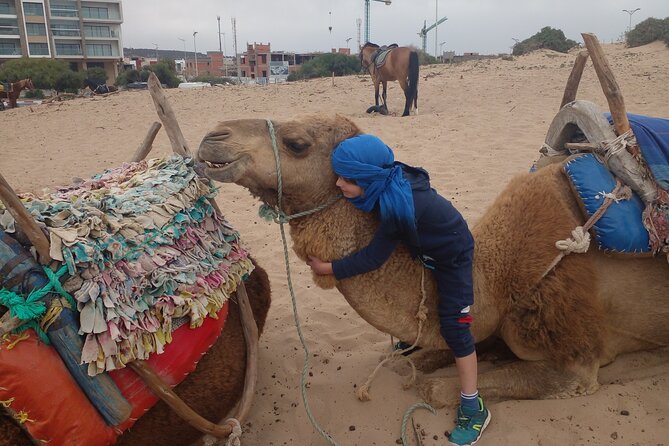 Essaouira: 2H camel/pick up and drop off including - Why the sunset departure is worth choosing
