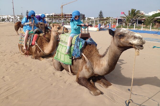 Essaouira: 2H camel/pick up and drop off including - The guide makes the difference