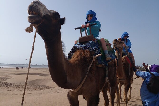 Essaouira: 2H camel/pick up and drop off including - Price and value at $45.36
