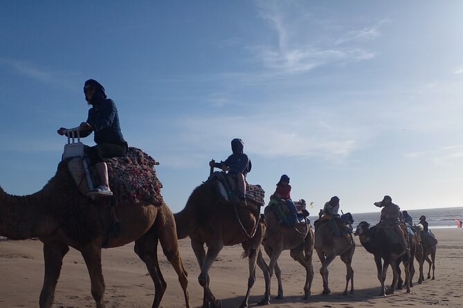 Essaouira: 2H camel/pick up and drop off including - Two hours through sand and coastal nature