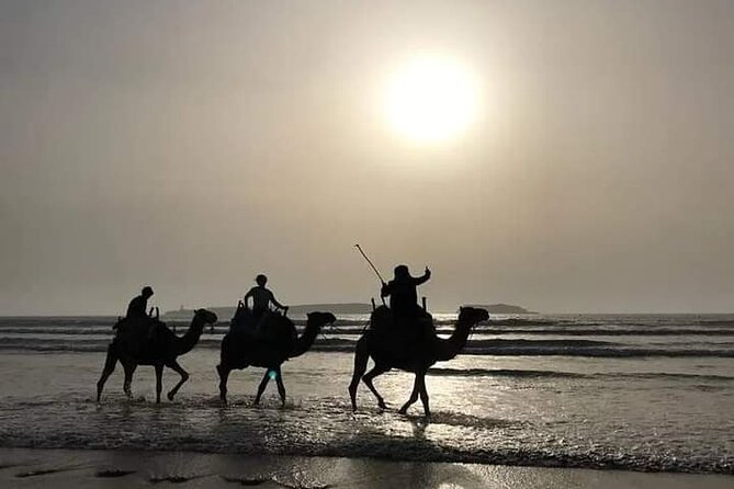 Essaouira: 3-Hour Camel Tour - The guides and the camels