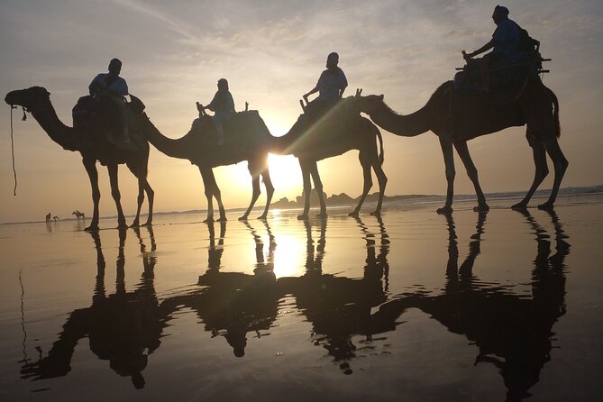 Essaouira: 3-Hour Camel Tour - Why the private format matters
