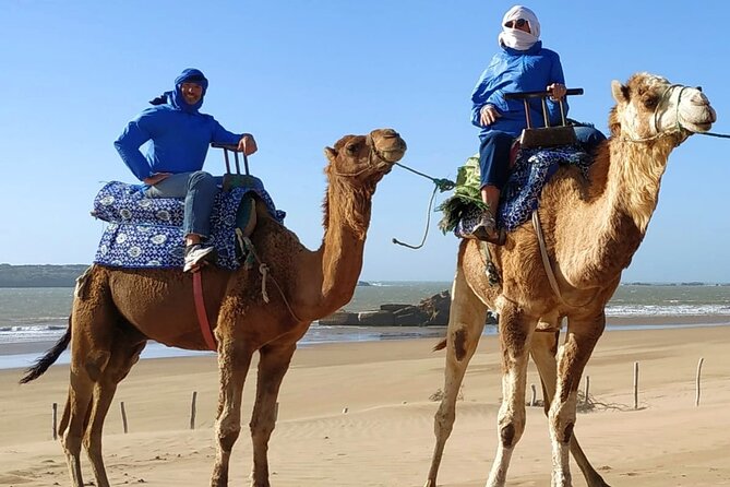 Essaouira: 3-Hour Camel Tour - Who will enjoy this most
