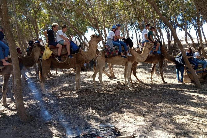 Essaouira Activities: Discover Essaouira by Quad - Why the private format changes the experience