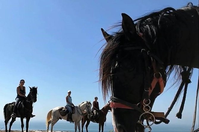 Essaouira Activities: Discover Essaouira by Quad - The best time: early morning or sunset