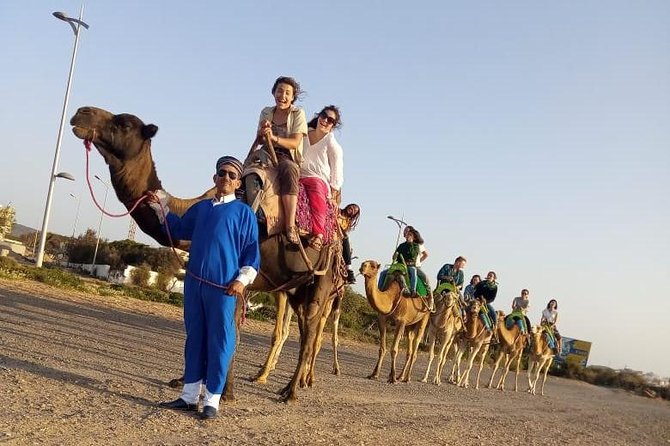Essaouira Activities: Discover Essaouira by Quad - Who will enjoy this outing most