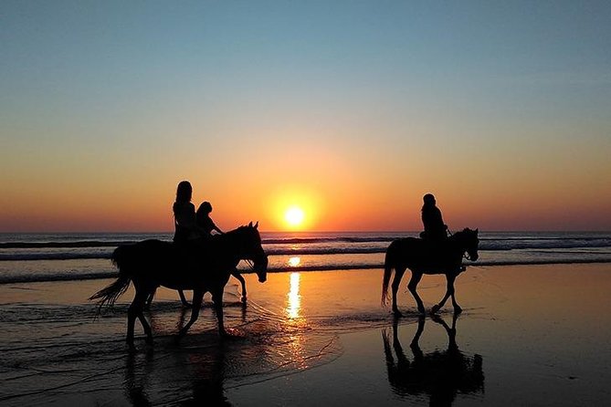 Essaouira Activities: Discover Essaouira by Quad - Choosing a horse or a dromedary camel